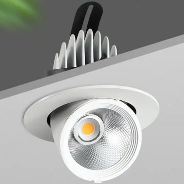 Dali dimmable led downlight,LED Downlight,LED recessed downlight,led downlight 30W